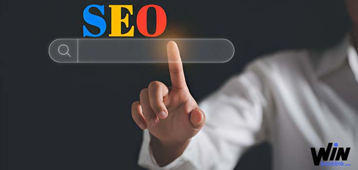 SEO Paketleri Nedir? Neden Dikkate Alınmalı?
